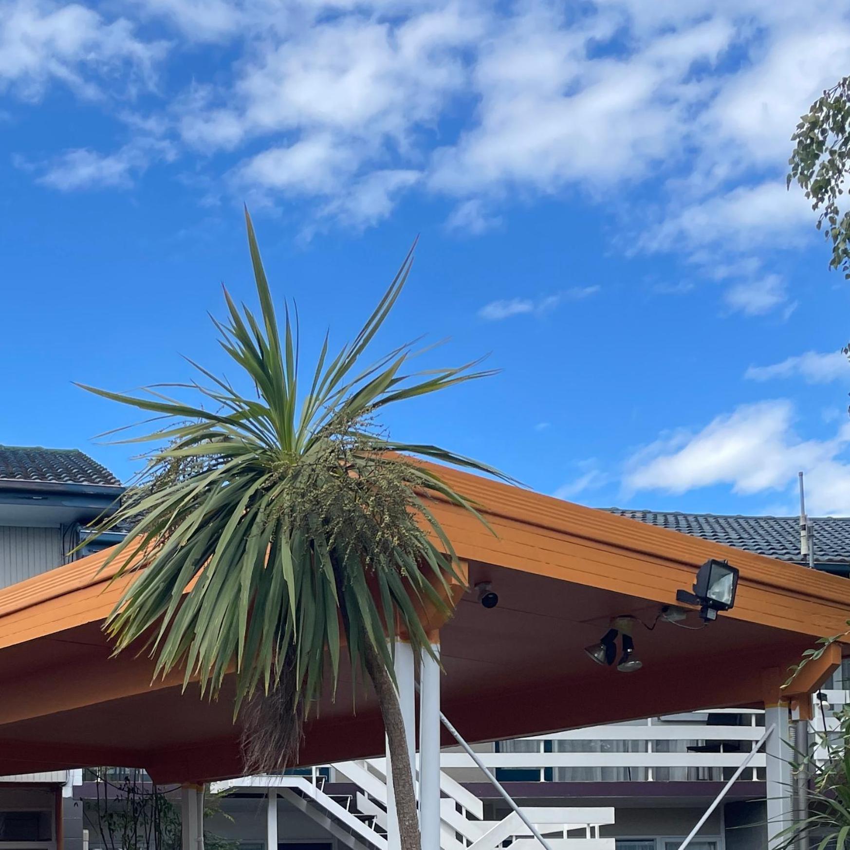 Mount Eden Motel Окленд Экстерьер фото